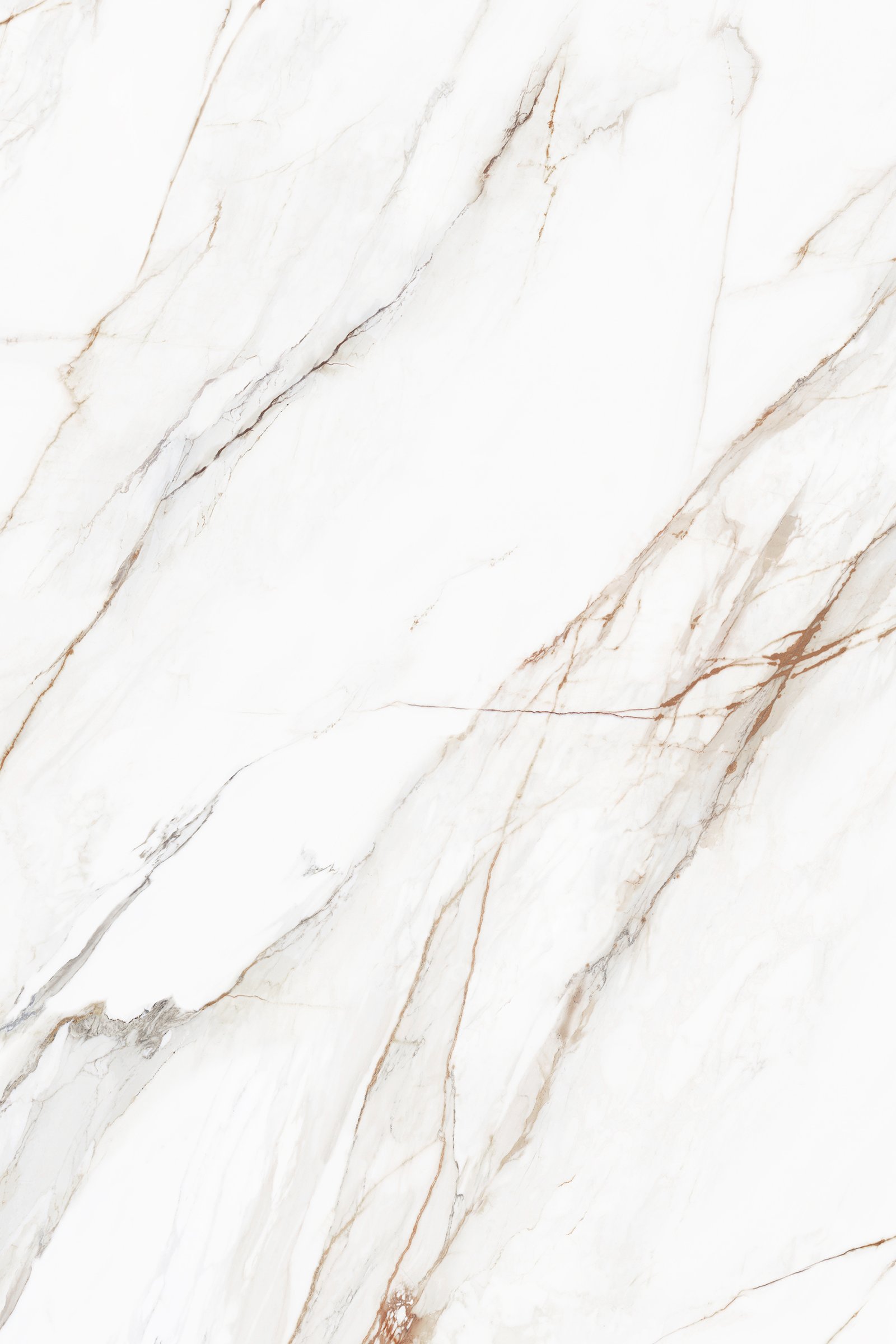 Calcatta Imperio marble-look porcelain slab from the Evolith tile collection